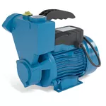 Bomba Auto Aspirante 1CV WMPA 75H 127V/220V 60HZ - CLAW
