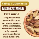 Mix de Nuts - Amêndoa, Castanha de Caju, Castanha do Pará, Amendoim e Uva Passa Gran Bell’s Premium
