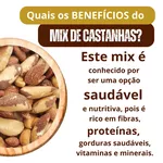 Mix de Nuts - Amêndoa, Castanha de Caju, Castanha do Pará, Amendoim e Uva Passa Gran Bell’s Premium