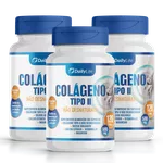 Colágeno Tipo 2 Não Hidrolisado - 120 Cápsulas Daily Life - 3x