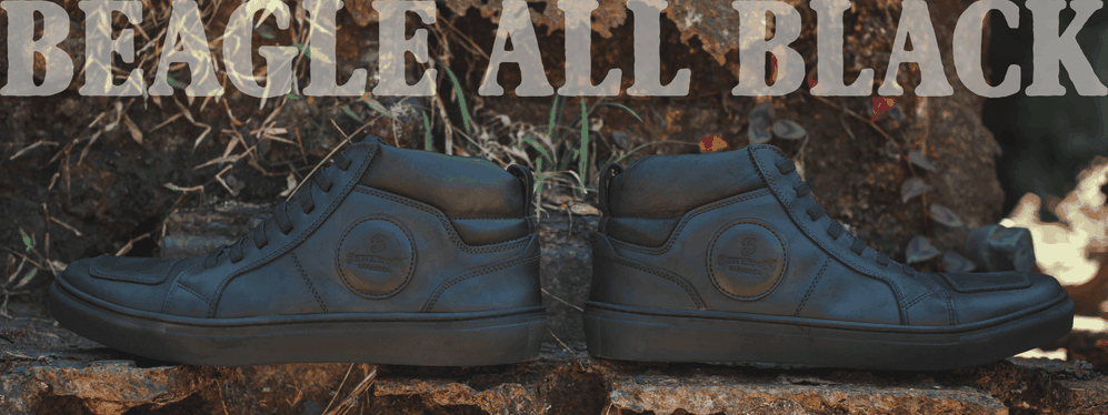 Beagle All Black