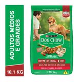 Dog Chow Ração Seca Cães Adultos Raças Médias e Grandes Carne, Frango e Arroz 10,1kg - Day 2 Day