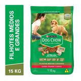 Dog Chow Ração Seca Cães Filhotes Raças Médias e Grandes Carne, Frango e Arroz 15kg - Day 2 Day