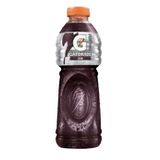 Gatorade Uva 500ml - Day 2 Day