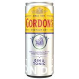 Gin & Tonic Gordon's 269ml - Day 2 Day