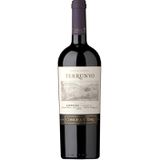 Vinho Terrunyo 750ml Carmenere - Day 2 Day