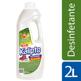 Desinfetante Kalipto Eucalipto 2l - Day 2 Day