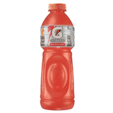 Isotônico Gatorade Frutas Cítricas 500ml - Day 2 Day