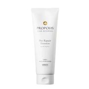 Kerasys Propolis Hair Bonding – Pro Repair Treatment