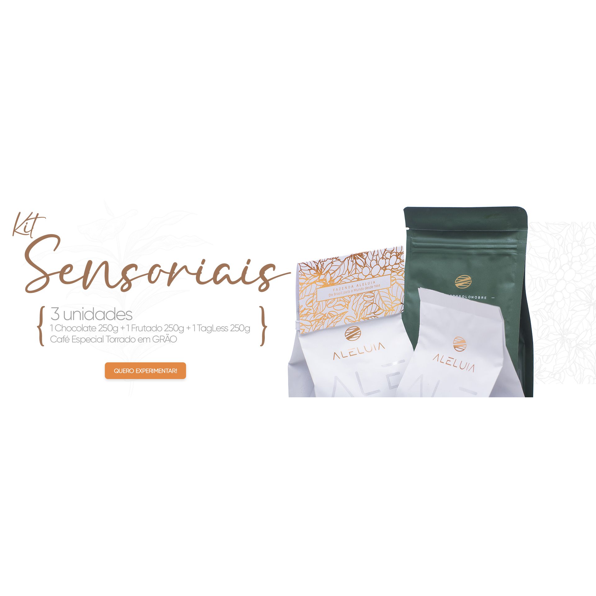 Sensoriais