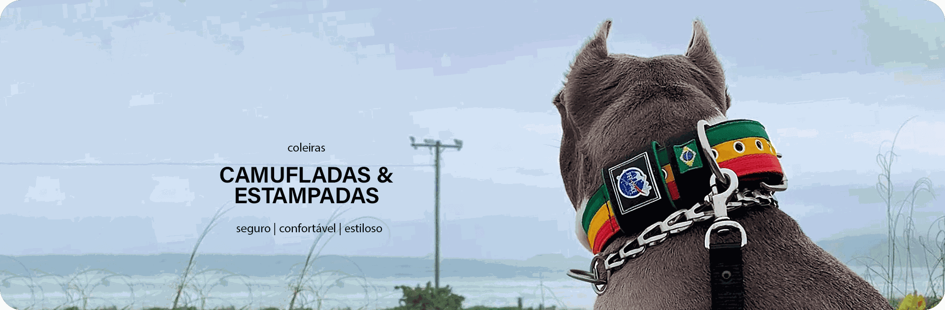 COLEIRAS CAMUFLADAS E ESTAMPADAS