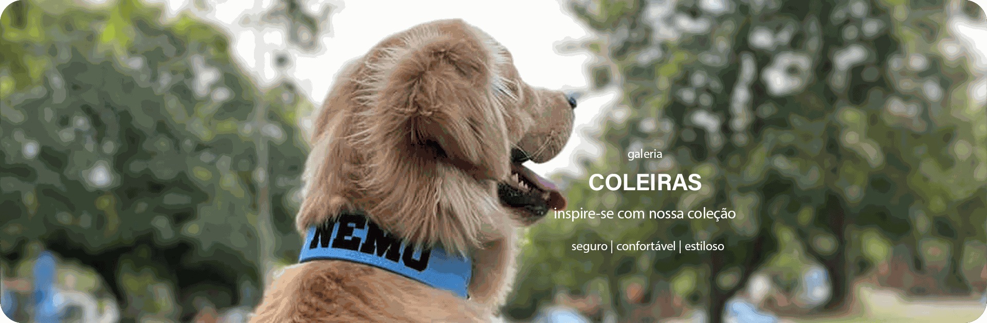 COLEIRAS