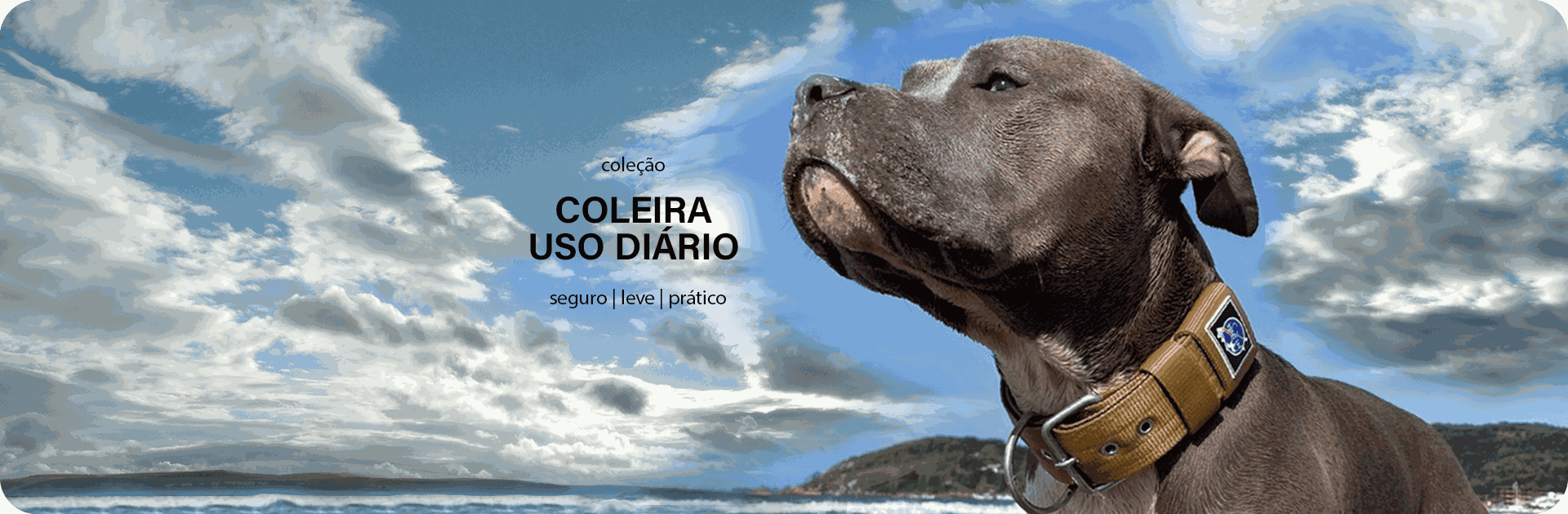 COLEIRA USO DIÁRIO