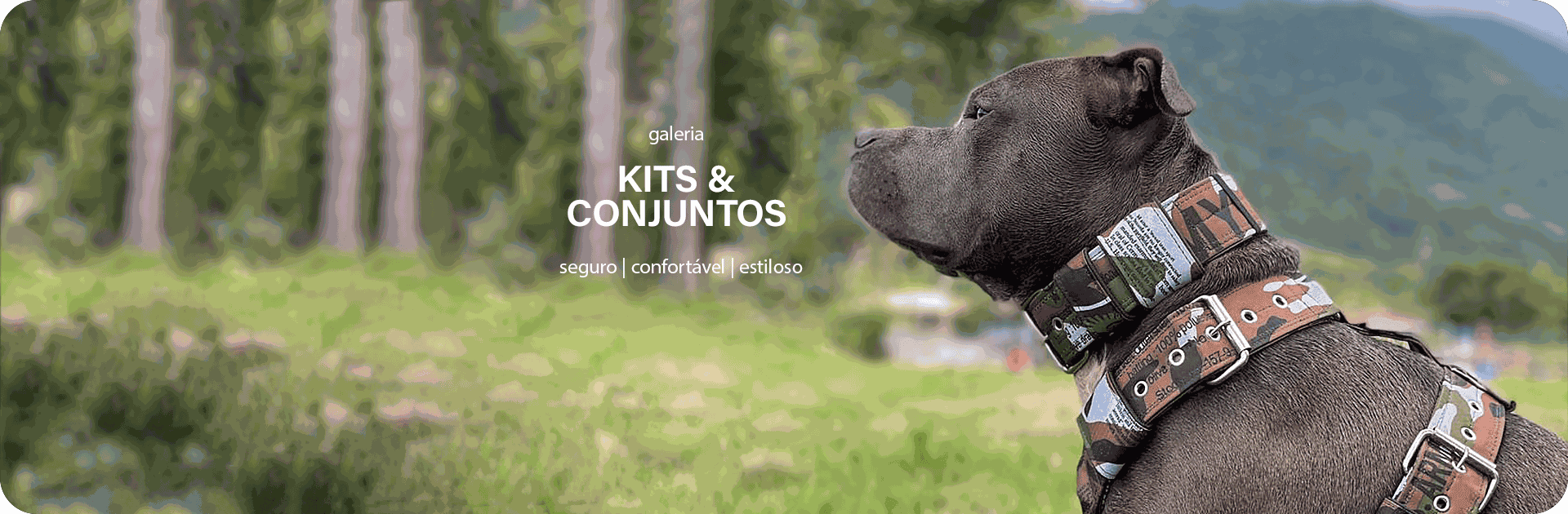 KIT E CONJUNTOS