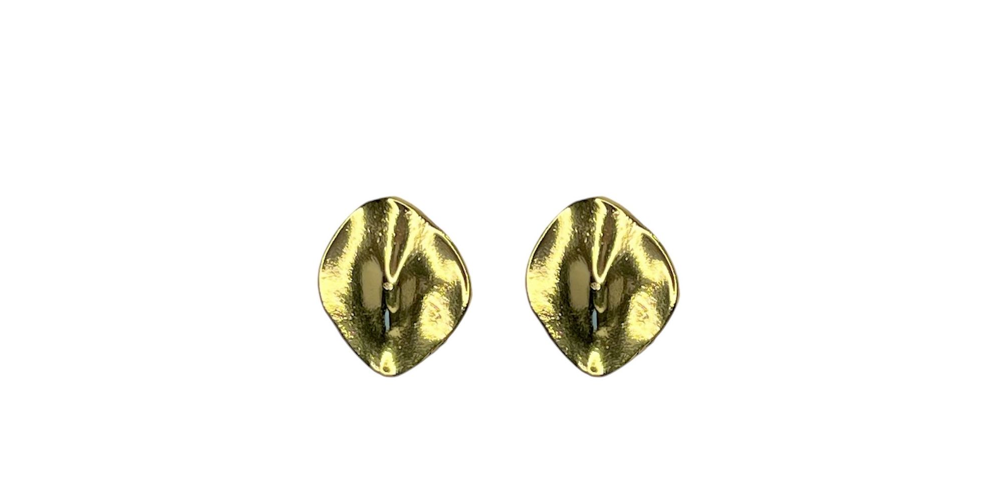 Brinco Chapa Orgânica Banhado A Ouro 18K