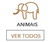 Animais