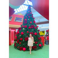 Vestido Cristal Bege