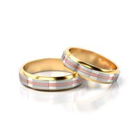 Alianças Para Bodas de Ouro 