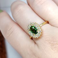 Anel de Formatura em Ouro 18k Personalizado para o Curso de Nutrição e demais cursos