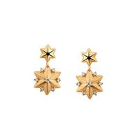 Brinco em Ouro Amarelo 18k Estrela com Diamantes