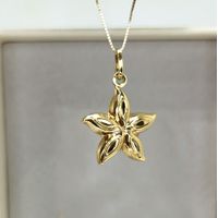 Pingente 18k Estrela do Mar Polida