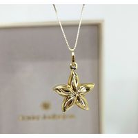 Pingente 18k Estrela do Mar Polida