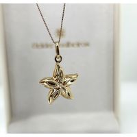 Pingente 18k Estrela do Mar Polida