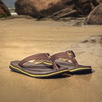 Chinelo Masculino Bahamas Laroche - Café