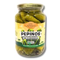 PEPINO EM CONSERVA COM INGREDIENTES ORGÂNICOS - 60... - TERRUÁ ORGÂNICOS