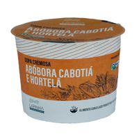 SOPA DE ABÓBORA CABOTIÁ E HORTELÃ - LAPINHA - 450M... - TERRUÁ ORGÂNICOS