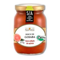 DOCE ORGÂNICO DE GOIABA SEM ADIÇÃO AÇÚCAR - NOVOCI... - TERRUÁ ORGÂNICOS