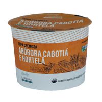 SOPA DE ABÓBORA CABOTIÁ E HORTELÃ - LAPINHA - 450M... - TERRUÁ ORGÂNICOS