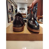 Sapato Social Derby Teselli Donald Brogue Machiatto Vinho