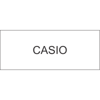 CASIO