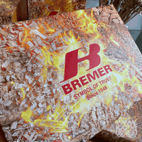 Caixa Empresarial | Bremer