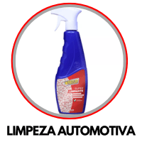 LIMPEZA AUTOMOTIVA