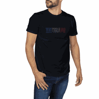 Camiseta Veterano Born In Texas