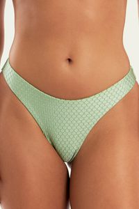 CSLCINHA PIAPA PISTACHE