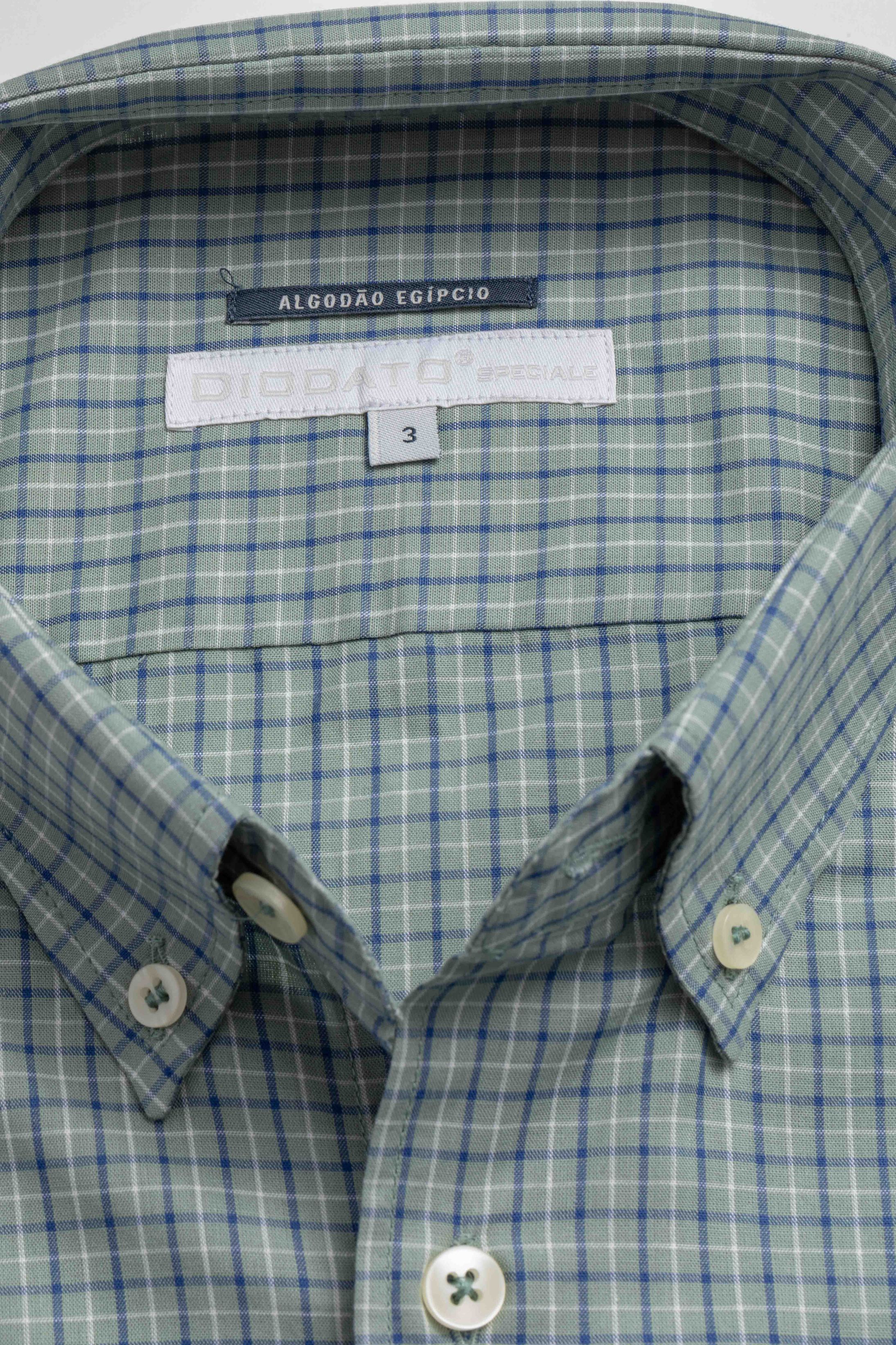 Camisa Manga Longa Regular Verde Quadriculado Azul