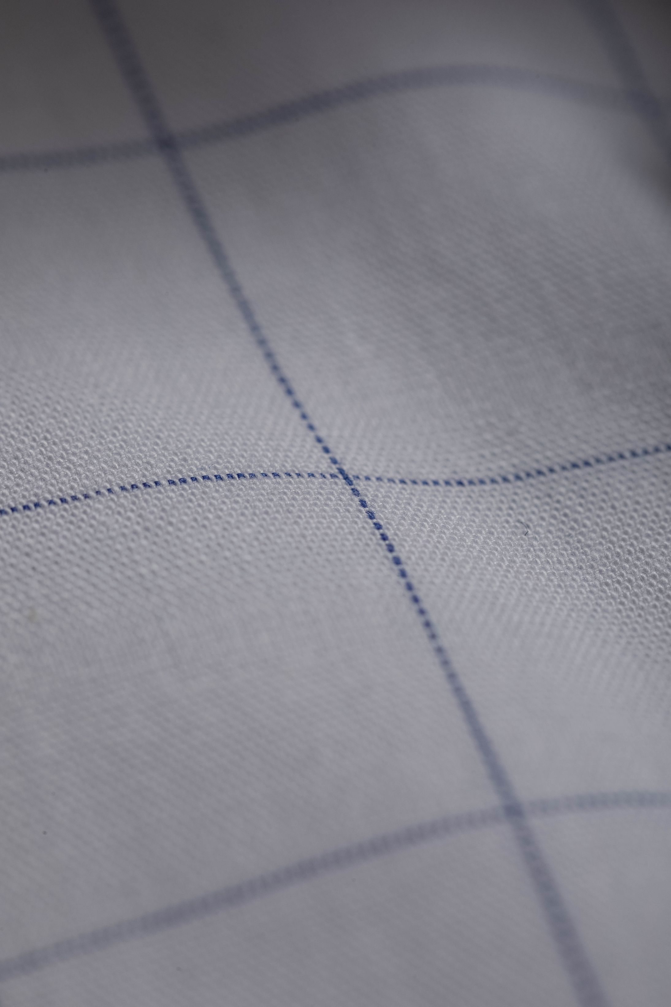 Camisa Manga Longa Regular Quadriculado Branco/Azul