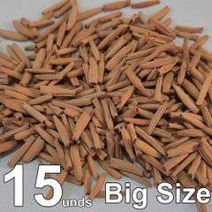 15 sementes Adenium BIG SIZE - ROSA DO DESERTO - Valmor Ademium