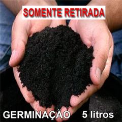 Substrato para Germinação de Rosa do Deserto