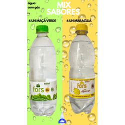 MIX SABORES MAÇÃ VERDE E MARACUJÁ- 6 unidades: Águ... - ÁGUA COM SABOR DISTRIBUIDORA