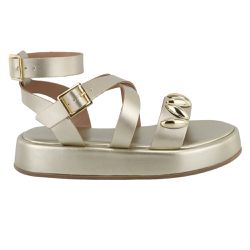 Sandália FlatForm Chloe Dourado - Bk530ouro - AMARENA SHOES