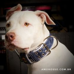 Coleira Amorosso® Fatto a Mano (azul marinho e bra... - Amorosso