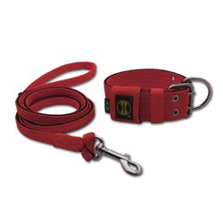 Coleira Para Cachorro + Super Guia 1,50m (vermelho... - AMOROSSO