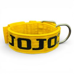 LQ Coleira Para Cachorro PP nome Jojo amarelo - lq21 - Amorosso