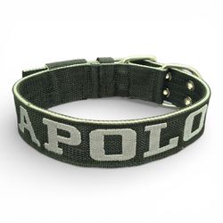 LQ Coleira Para Cachorro GG nome Apolo preto e cinza - lq18 - Amorosso