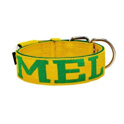 Coleira Para Cachorro Personalizada ( amarelo e ve... - AMOROSSO