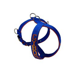 Peitoral Amorosso® Personalizado (azul e laranja) ... - AMOROSSO